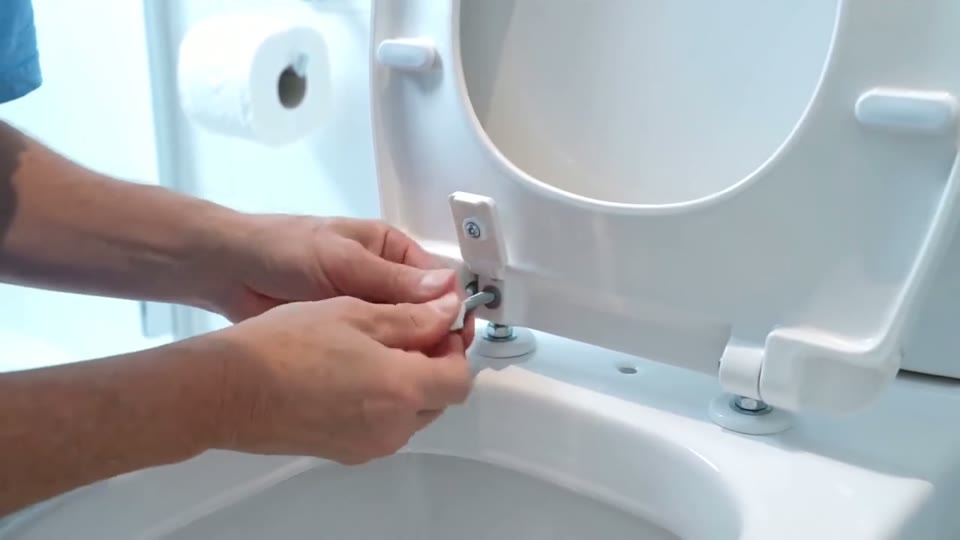 Sample clip poster: hands unscrewing toilet seat bolts
