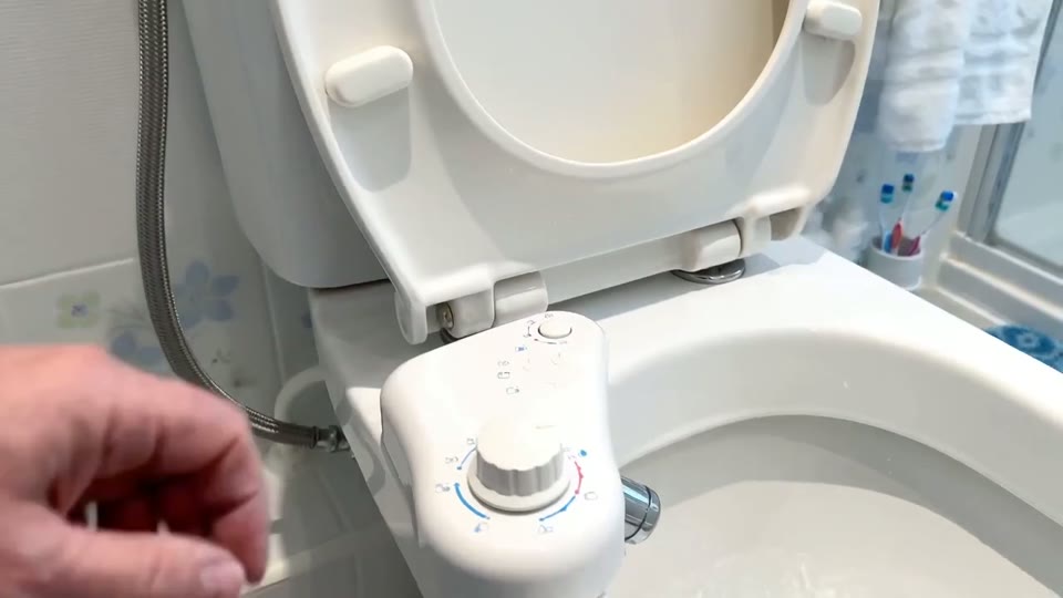 Sample clip poster: hand testing bidet spray in a toilet bowl